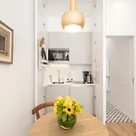 Lsa Chiado Emenda By Numa